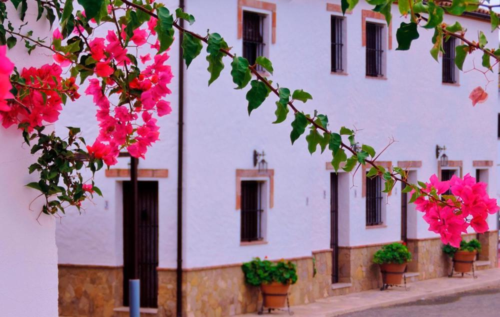 Vila Hacienda San Francisco Prado Del Rey Exteriér fotografie