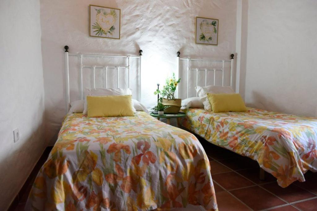 Vila Hacienda San Francisco Prado Del Rey Exteriér fotografie
