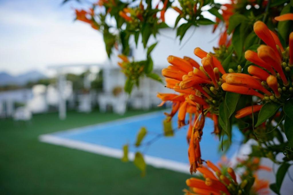 Vila Hacienda San Francisco Prado Del Rey Exteriér fotografie